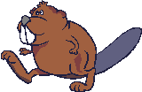 Gif castor